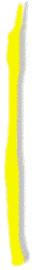 bande jaune